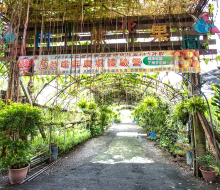 劍門生態花果園