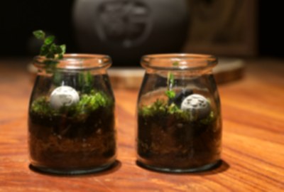 ReWood studio 木酢達人創始店