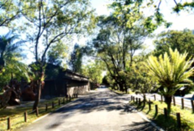 林田山林業文化園區
