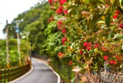 楓林步道 看見花蓮