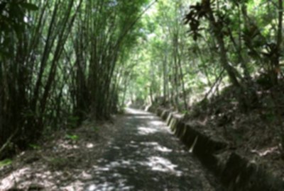 虎頭山步道 親子同遊踏青趣