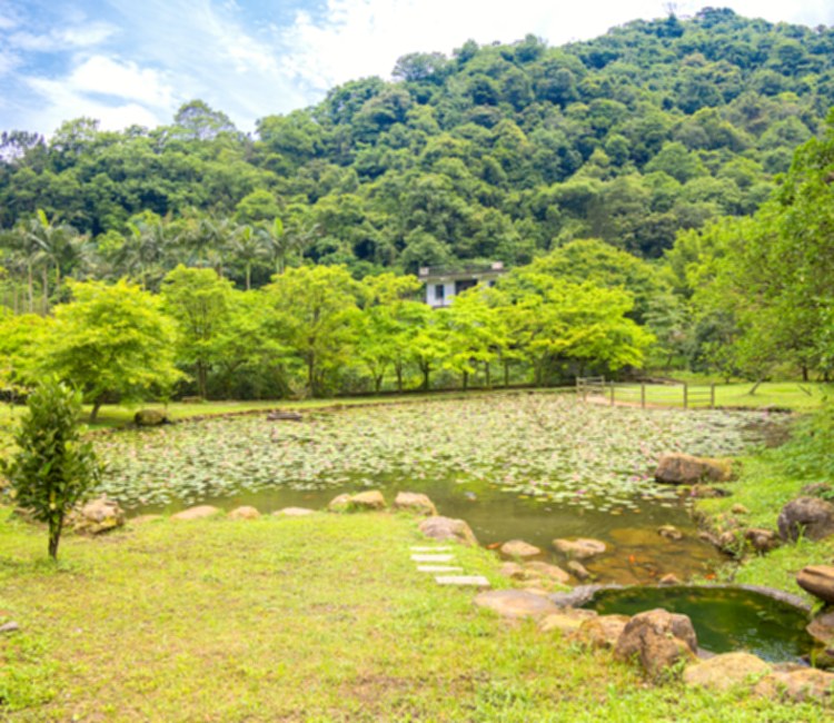 苓蘭生態農園