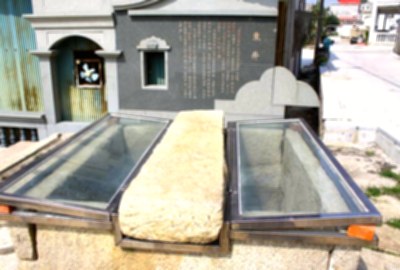 東林東井