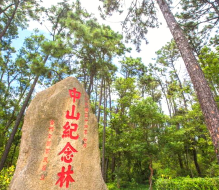 中山紀念林