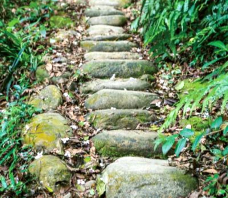 挑炭古道