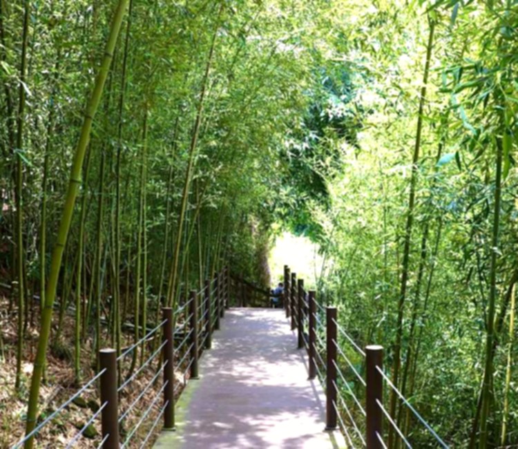 瑞龍瀑布園區