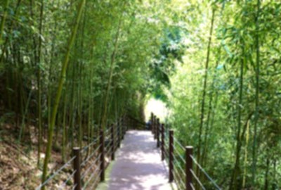 瑞龍瀑布園區