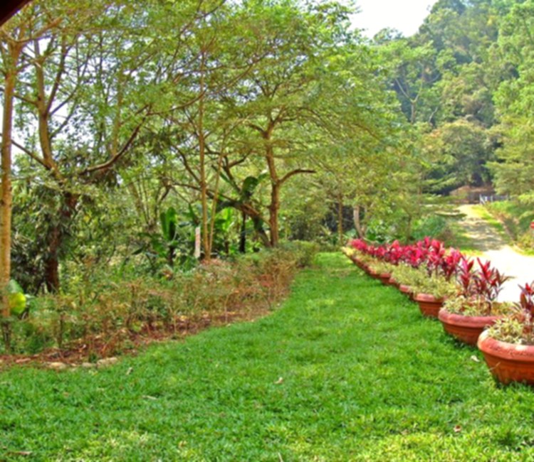大竹湖步道