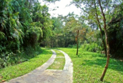 松柏崙步道 / 挑鹽古道