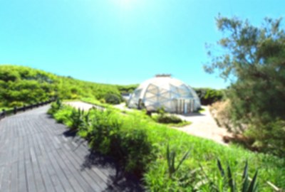 青灣仙人掌公園