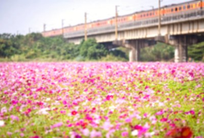 高屏舊鐵橋與河濱公園