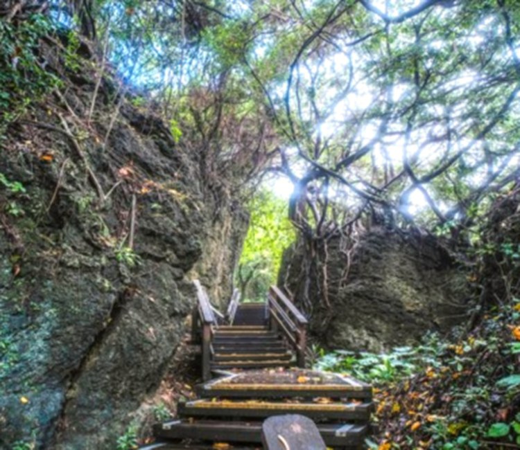 山豬溝