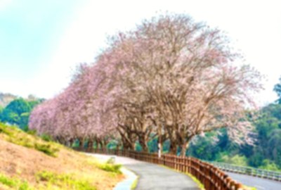 烏山頭水庫風景區
