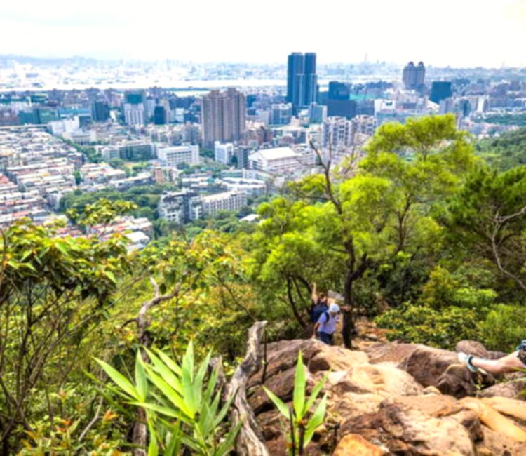 五指山系_金面山親山步道