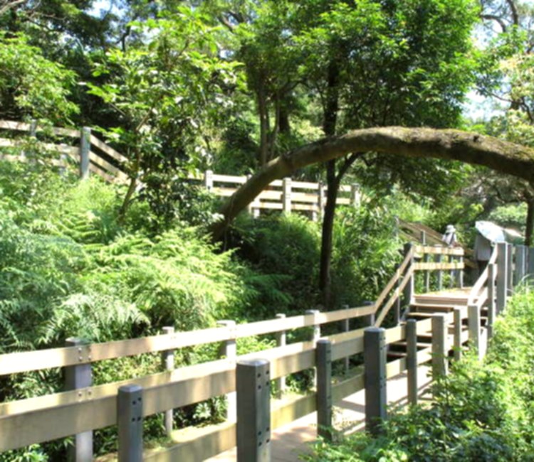 南港山系_虎山親山步道