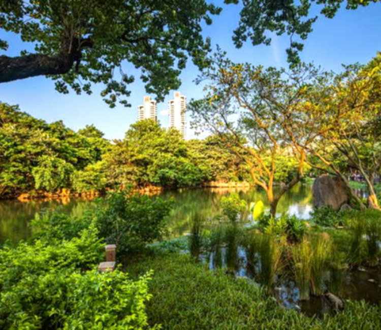 大安森林公園