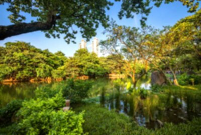 大安森林公園