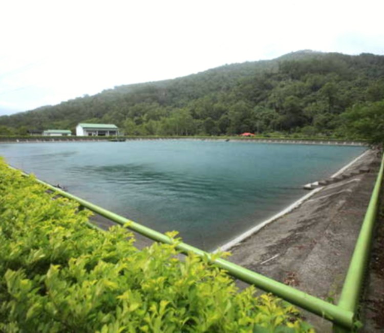 馬背調整池水利公園