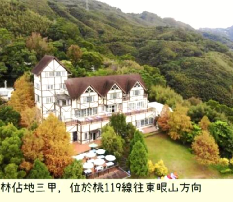 綠光森林