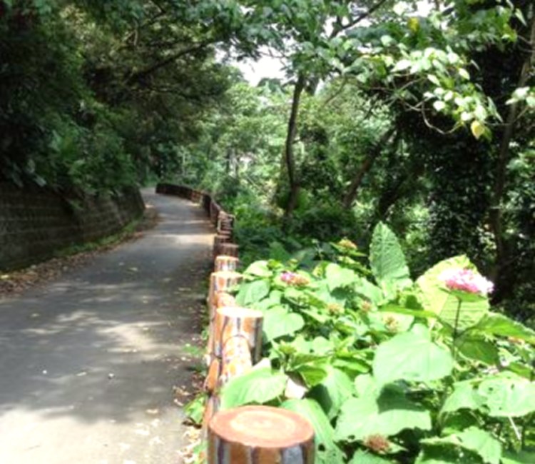 御成路古道