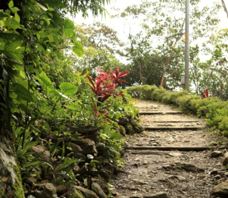 跑馬古道