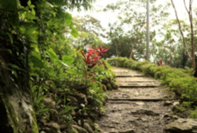 跑馬古道